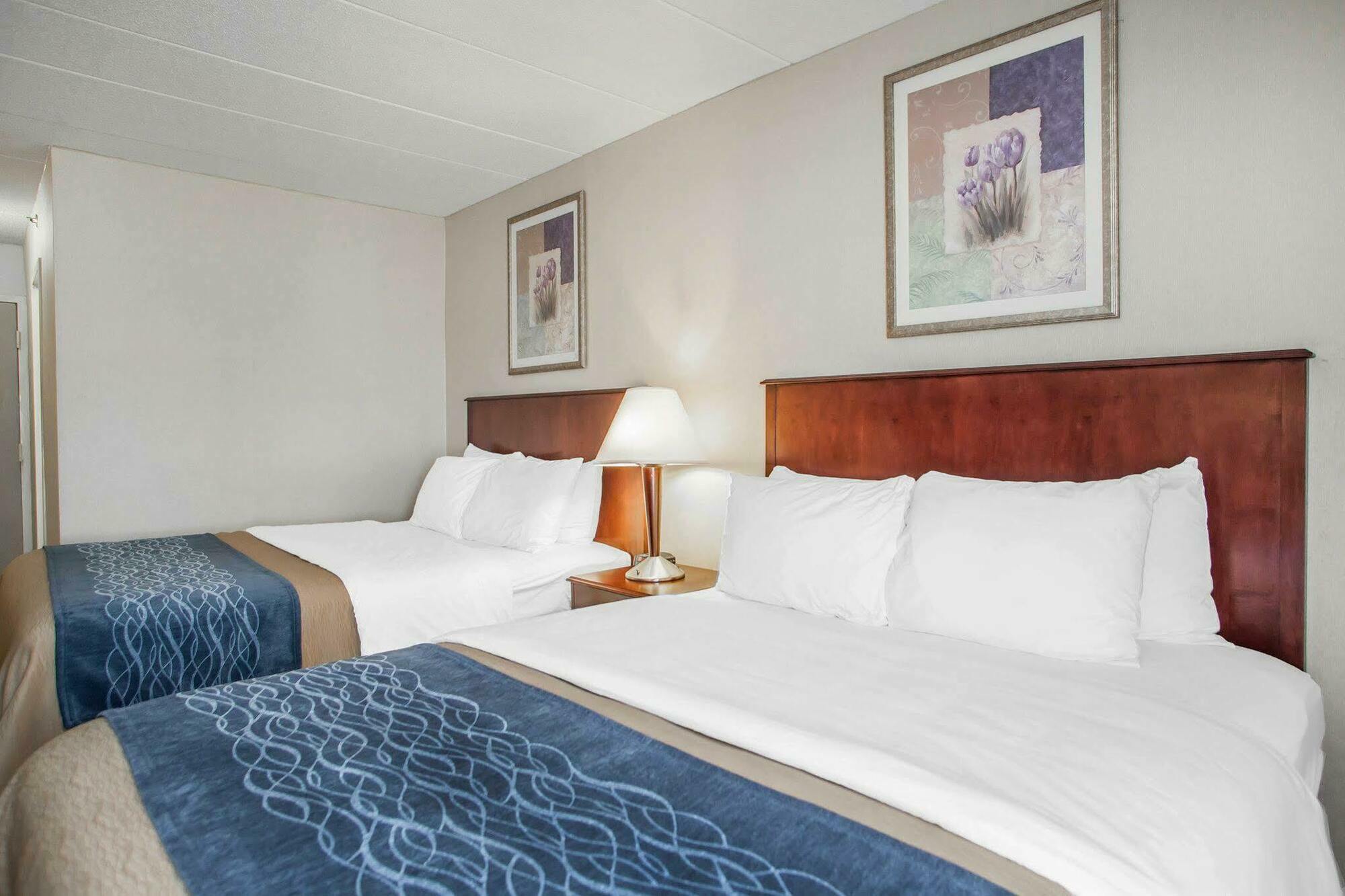 Lawrence Quality Inn Near Princeton מראה חיצוני תמונה